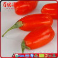 Low pesticide goji berry in pure natural